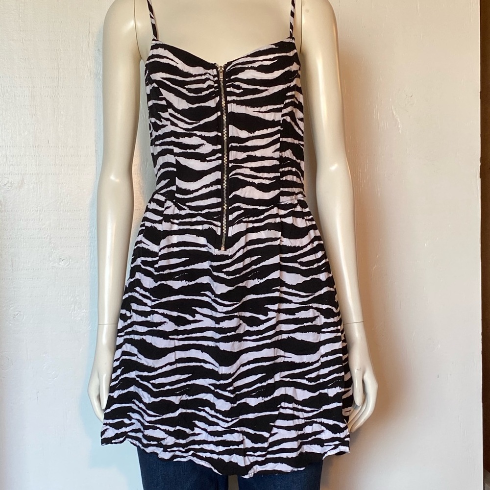 Divided by H&M Zebra Stripes Dress